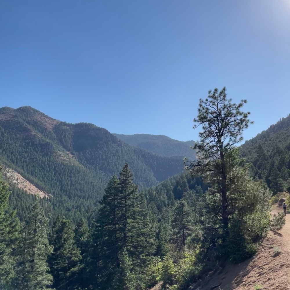 Meet your Posher, Lydia